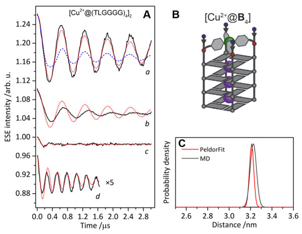 application-Double résonance électron-électron dans l'analyse de la structure de l'ADN-Fig2
