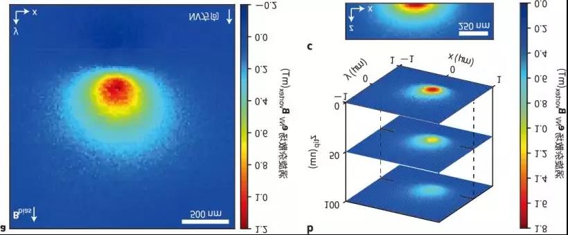 Imagerie quantitative des champs parasites de vortex magnétiques uniques