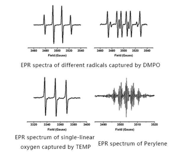 Applications du spectromètre EPR Détection des radicaux libres