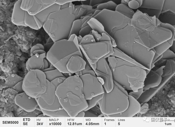 Figure 1 Morphologie microscopique des céramiques de nitrure de bore