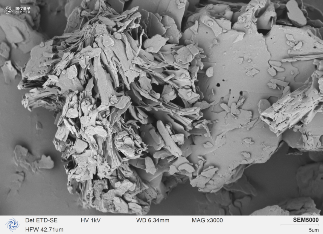 SEM5000 observe clairement la croissance de la couche de flocons de stéarate de magnésium