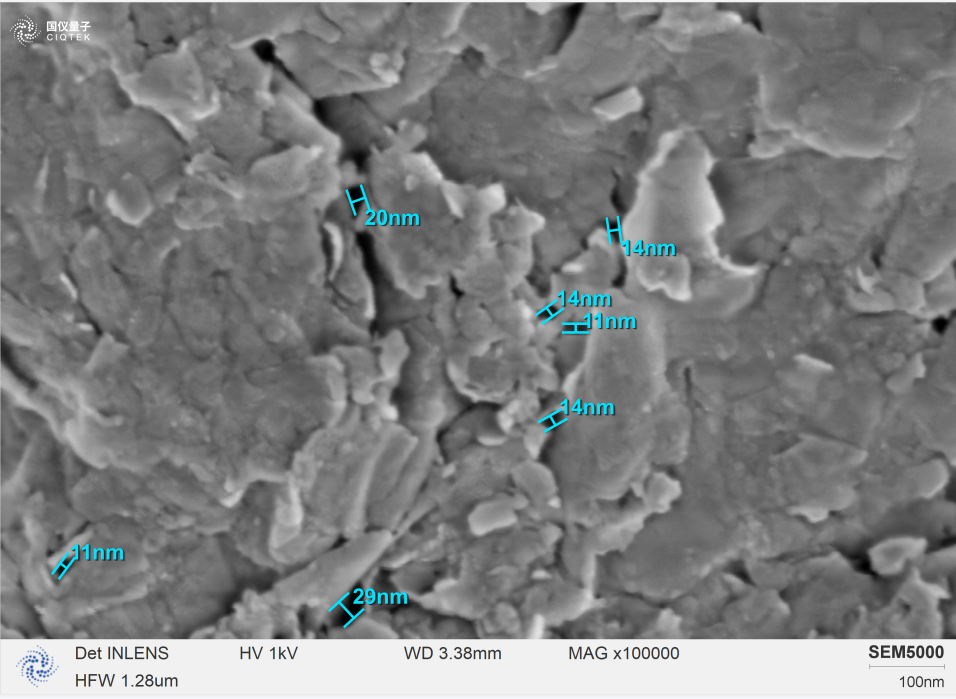Le SEM5000 peut identifier clairement les cristallites lamellaires individuelles à un grossissement élevé de 100 000 et analyser la taille de leurs pores.