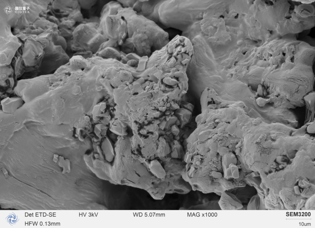 SEM3200 peut clairement observer la morphologie de surface des particules d'ibuprofène