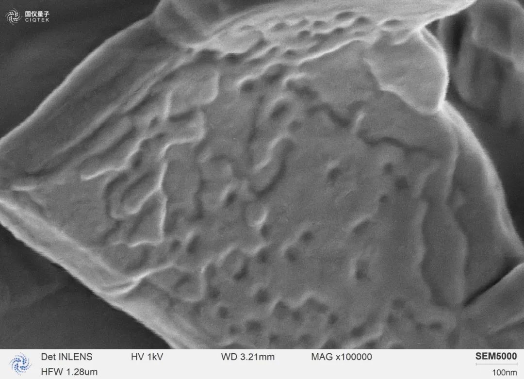 SEM5000 a observé les flocons de stéarate de magnésium à un fort grossissement de 100 000