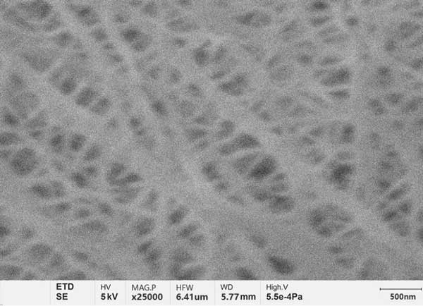 Figure a : Septum de batterie au lithium photographié par SEM à filament de tungstène conventionnel, avec des détails flous et peu clairs