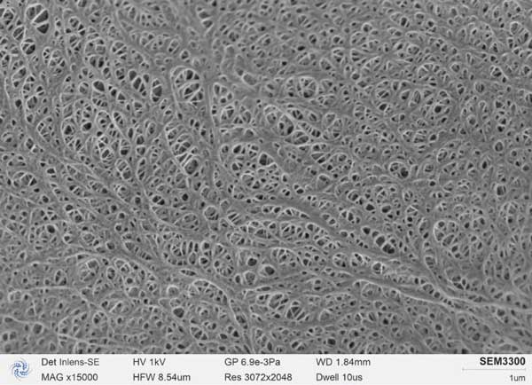 Figure b : Diaphragme de batterie au lithium photographié par SEM3300, pores du diaphragme clairement visibles, bord tranchant du trou