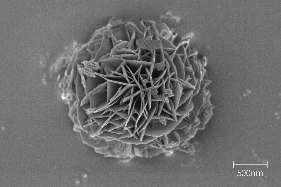 images d'analyse sem - Nanoflower