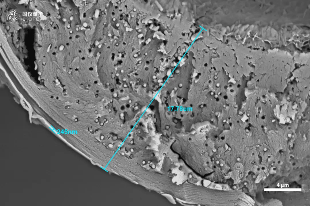 Microscope électronique à balayage à filament de tungstène CIQTEK