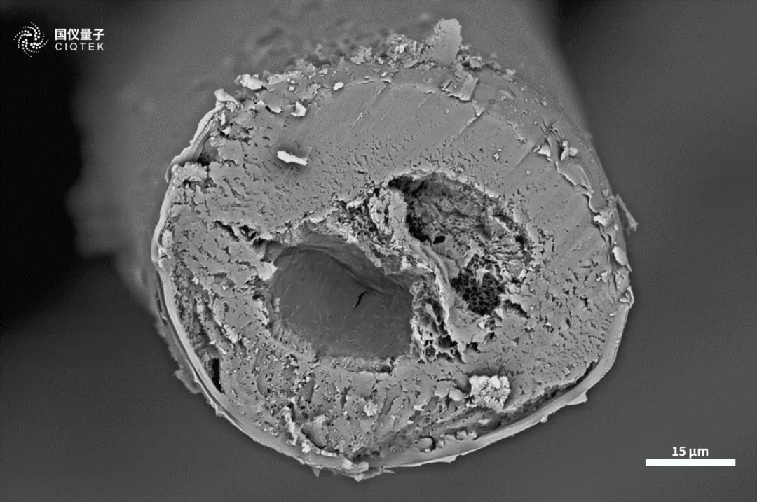 Microscope électronique à balayage à filament de tungstène CIQTEK