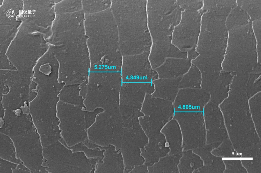 Microscope électronique à balayage à filament de tungstène CIQTEK