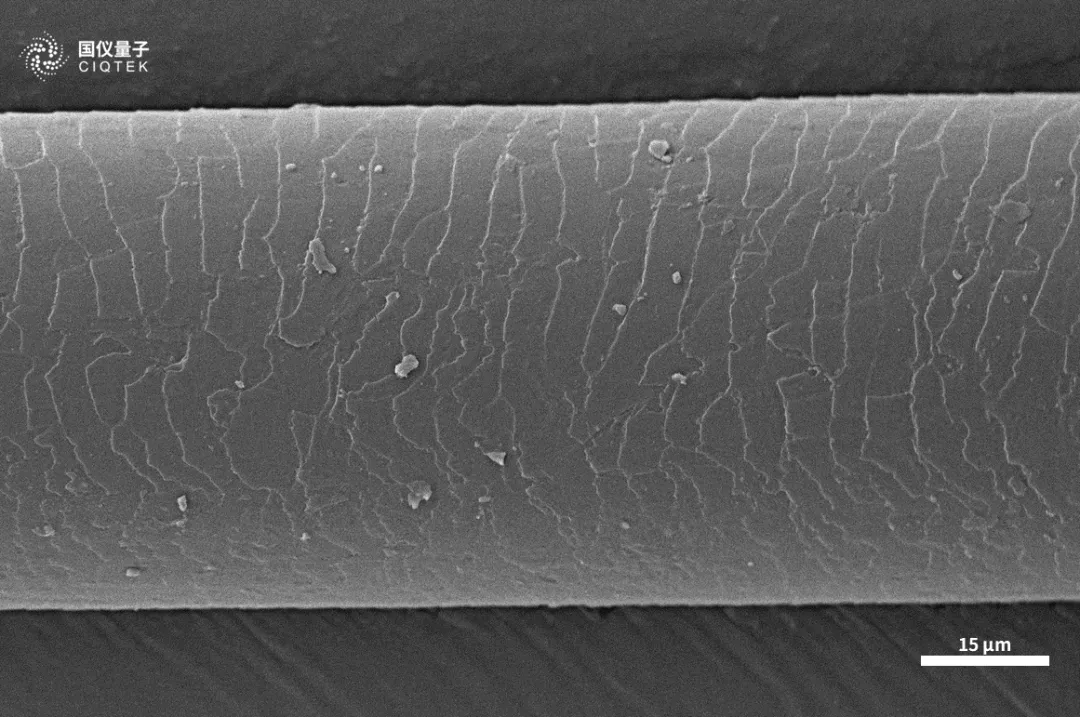 Microscope électronique à balayage à filament de tungstène CIQTEK