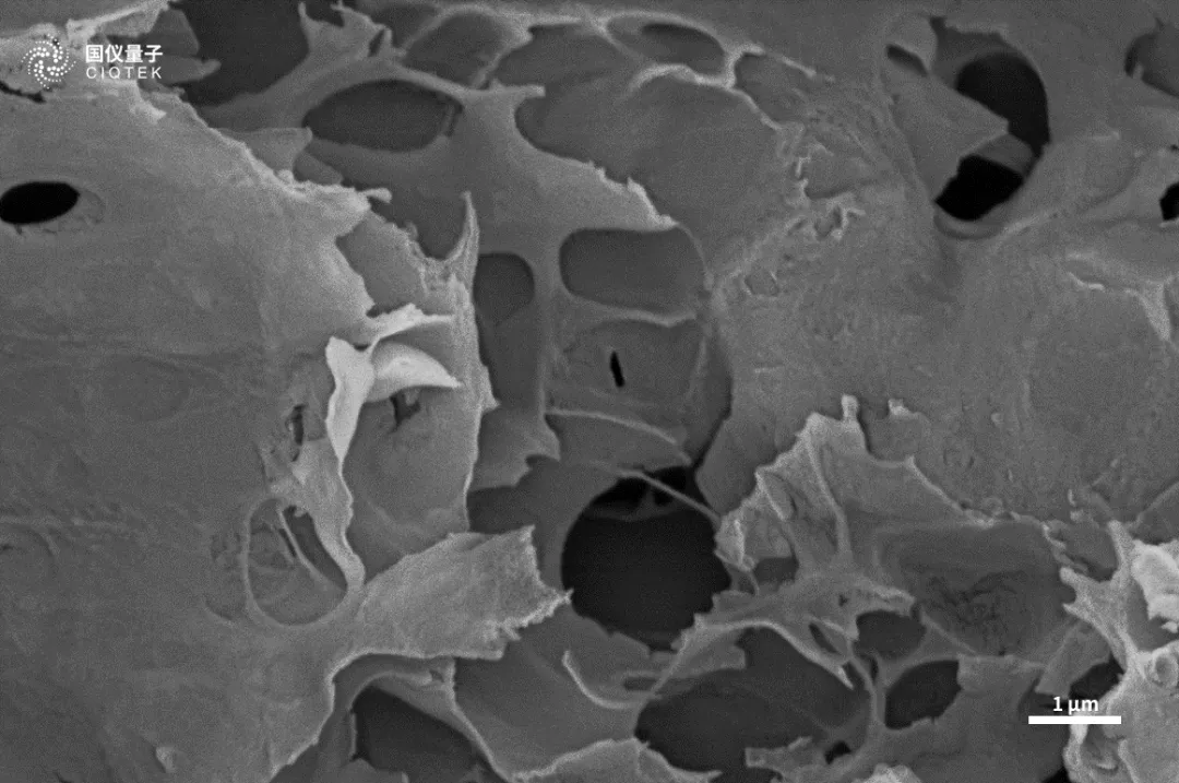 Microscope électronique à balayage à filament de tungstène CIQTEK