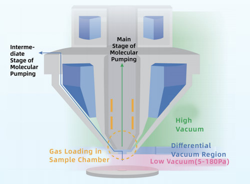 SEM Microscope Low Vacuum