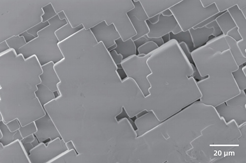 sem image analysis Salt