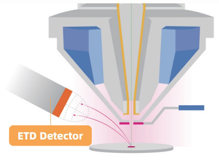 SEM Detector ETD Detector