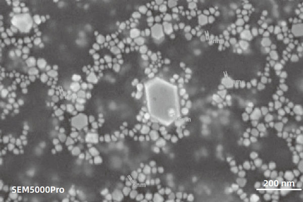 sem image analysis Imaging of sub-nanometer silver powder using an in-lens  electron detector at 3 kV under high-vacuum conditions.