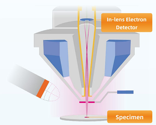 FESEM Microscope In-lens Electron Detector / Specimen