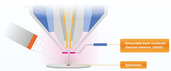 FESEM Retractable Back-Scattered Electron Detector (BSED)