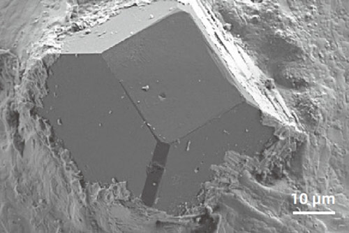 FESEM Microscope Image Good stereoscopic images of morphological features with Everhart-Thornley Detector imaging