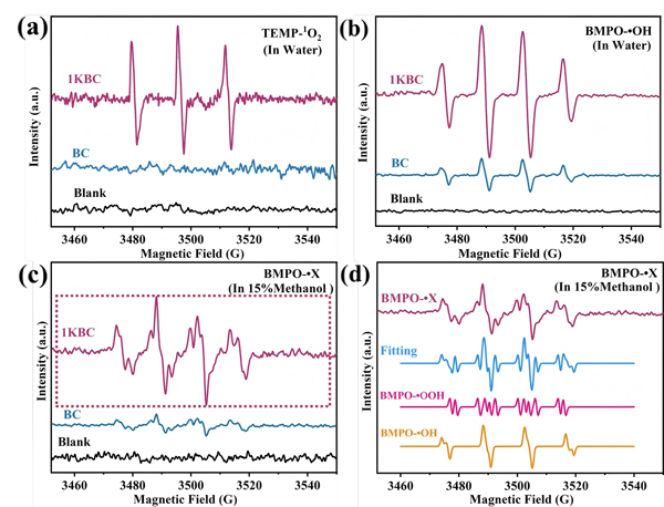 Figure 4. EPR measurements