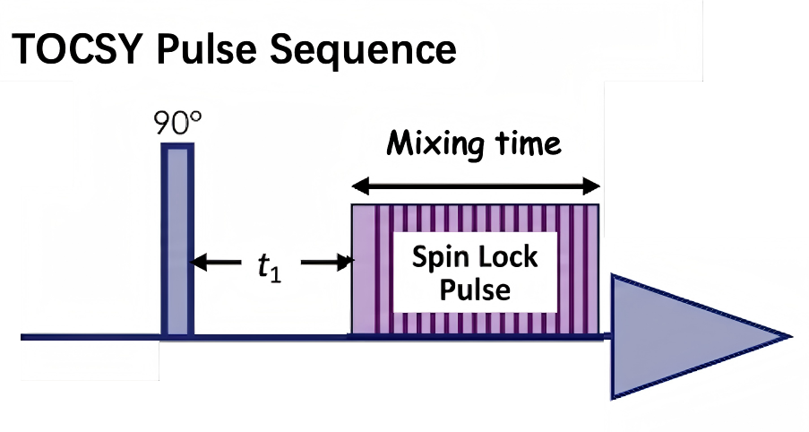 TOCSY Pulse Sequence