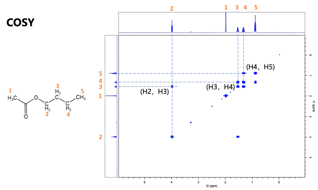 COSY spectrum of n-butyl acetate showing H2-H3, H3-H4, and H4-H5 proton correlations