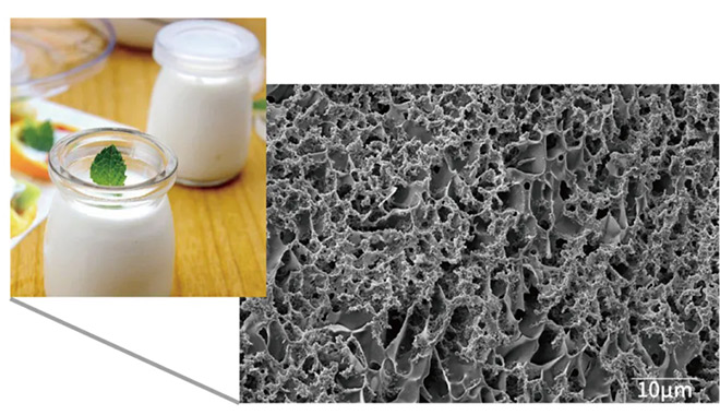 La solution CIQTEK Cryo-SEM permet une imagerie haute résolution et sans dommage des échantillons biologiques