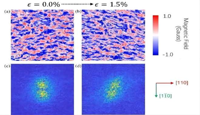 CIQTEK contribue à la recherche sur l'imagerie magnétique à couches minces antiferromagnétiques