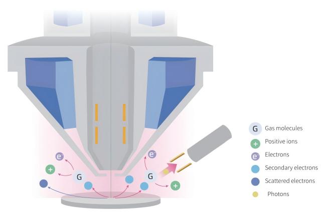 FAQ du microscope électronique à balayage (MEB)